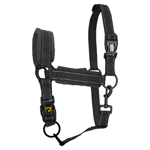 Excellent Horse Superior Halfter schwarz, Größe: XL