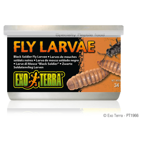 Exo Terra Canned Black Solider Fly Larvae Dosenfutter (Soldatenfliegen Larven) 34 g