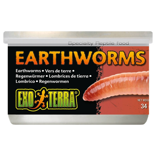 Exo Terra Canned Earthworms (Regenwürmer) 34 g