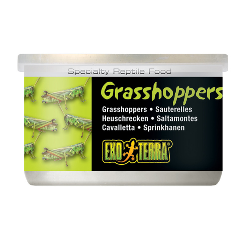 Exo Terra Grasshoppers Dosenfutter (Heuschrecken) 34 g