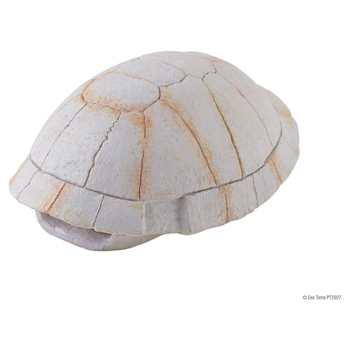 Exo Terra Landschildkröten Skelett
