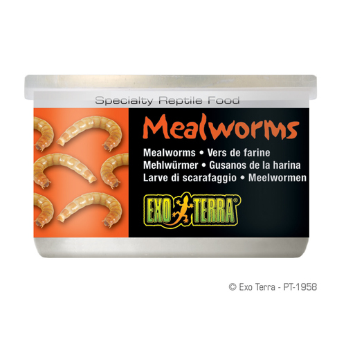 Exo Terra Mealworms Dosenfutter (Mehlwürmer) 34 g