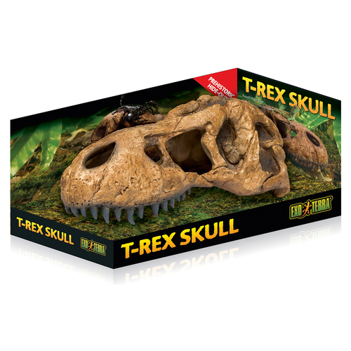Exo Terra T-Rex Skull - Fossiles Versteck Exo Terra T-Rex Skull - Fossiles Versteck