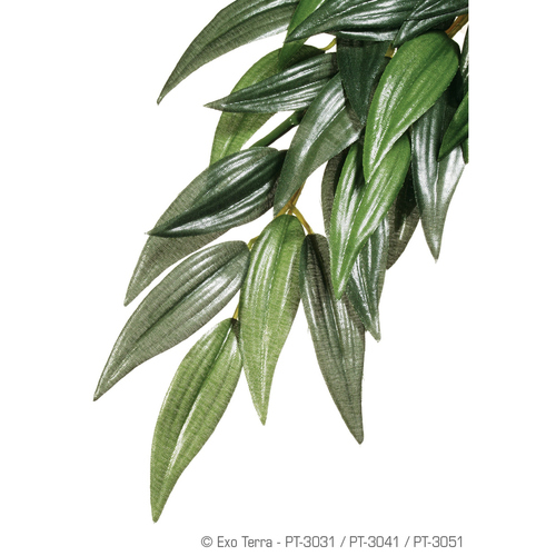 Exo Terra Terrarien-Pflanze Ruscus, Größe: M / medium