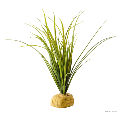 Exo Terra Terrarien-Pflanze Turtle Grass