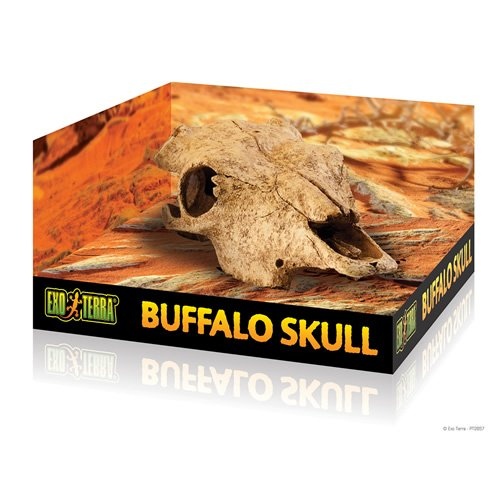 Exo Terra Versteck Buffalo Skull