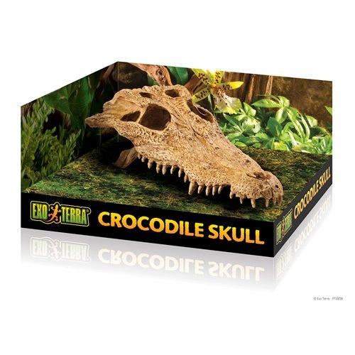 Exo Terra Versteck Crocodile Skull