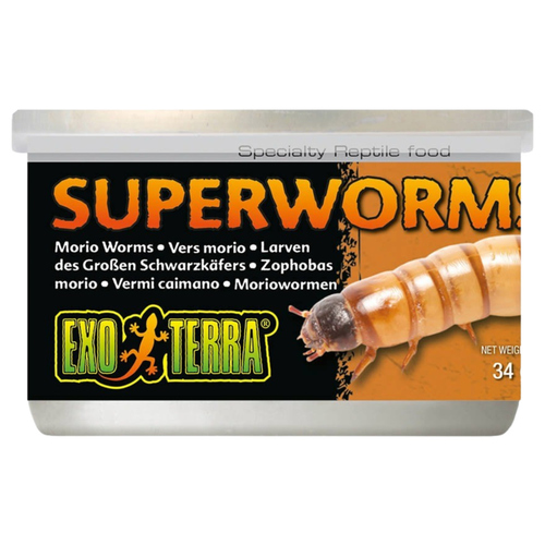 Exo Terra Zhophobas Dosenfutter 34 g