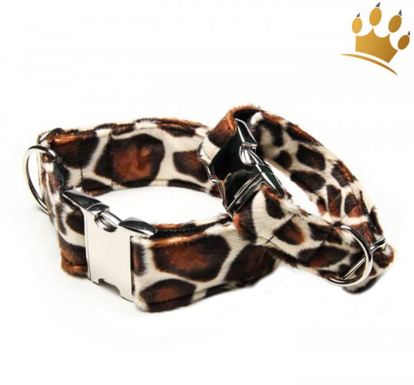 Fellhalsband Giraffe Serengeti