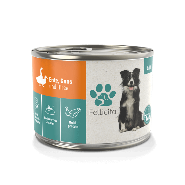 Fellicita Ente, Gans & Hirse 200g Hundenassfutter