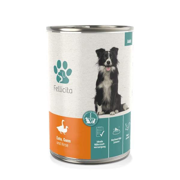 Fellicita Ente, Gans & Hirse 400g Hundenassfutter