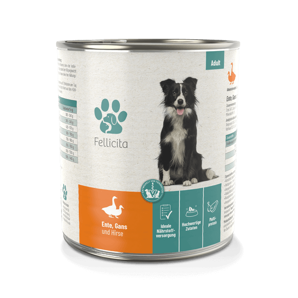 Fellicita Ente, Gans & Hirse 800g Hundenassfutter