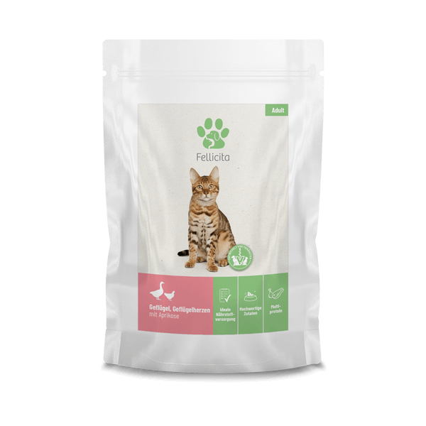 Fellicita Geflügel, Geflügelherzen mit Aprikose 95 g Katzennassfutter