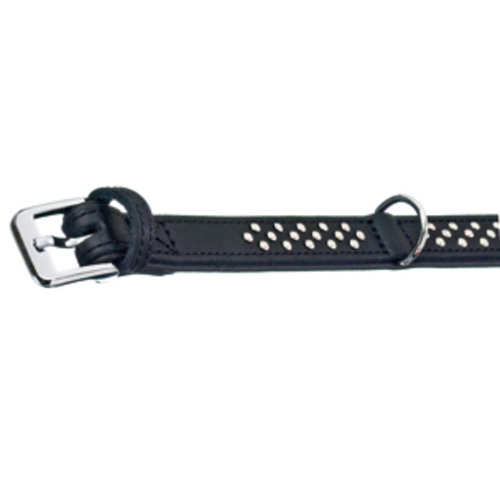 Flamingo Atlanta Halsband schwarz mit Nieten, Maße: 31-37 cm / 18 mm