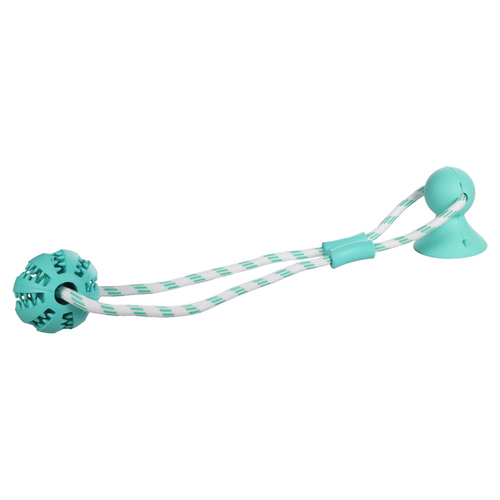 Flamingo Hundespielzeug Fixa Ball und Saugnapf mit Seil minzgrün Flamingo Hundespielzeug Fixa Ball und Saugnapf mit Seil minzgrün