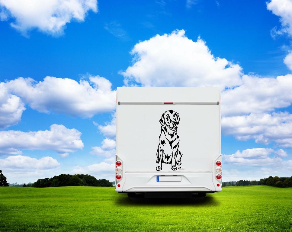 Flatcoated Retriever Wohnmobil Aufkleber I Wandtattoo - H20cm / Weiß
