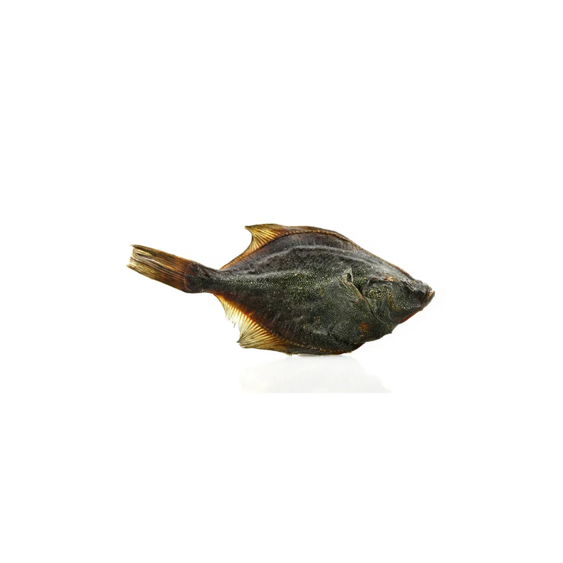 Flunder 1 Stück