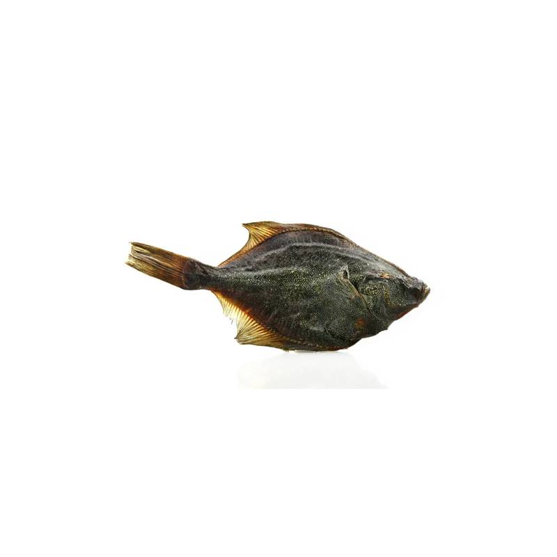 Flunder 1kg Flunder 1kg