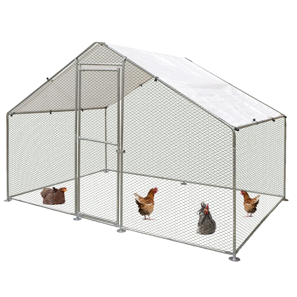 Freilaufgehege 2 x 3 x 2 Meter
