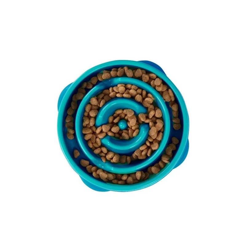Fun Feeder in Türkis L