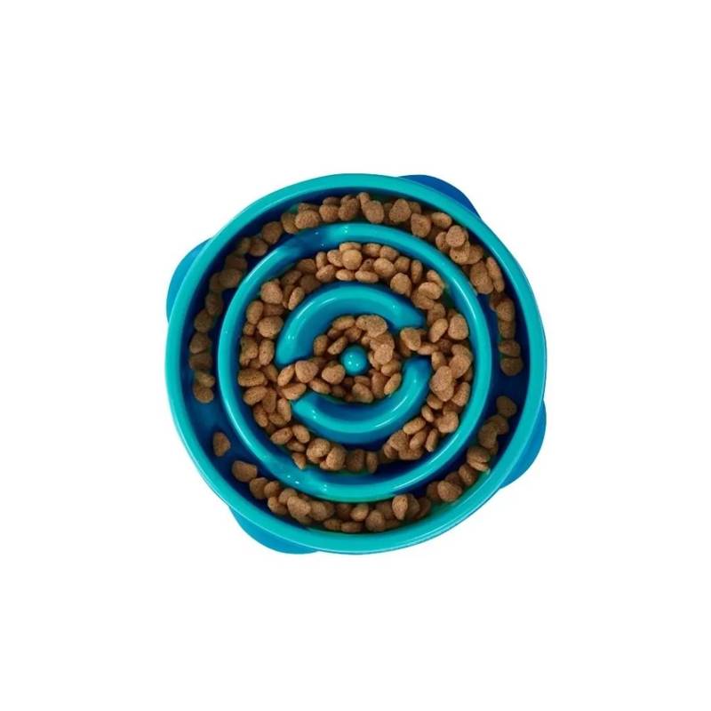 Fun Feeder in Türkis L