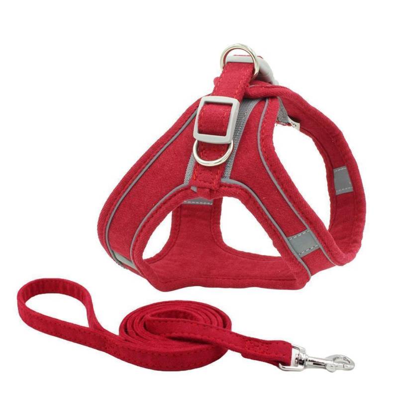 Geschirr f?r Hund und Katze mit Leine - L in rot