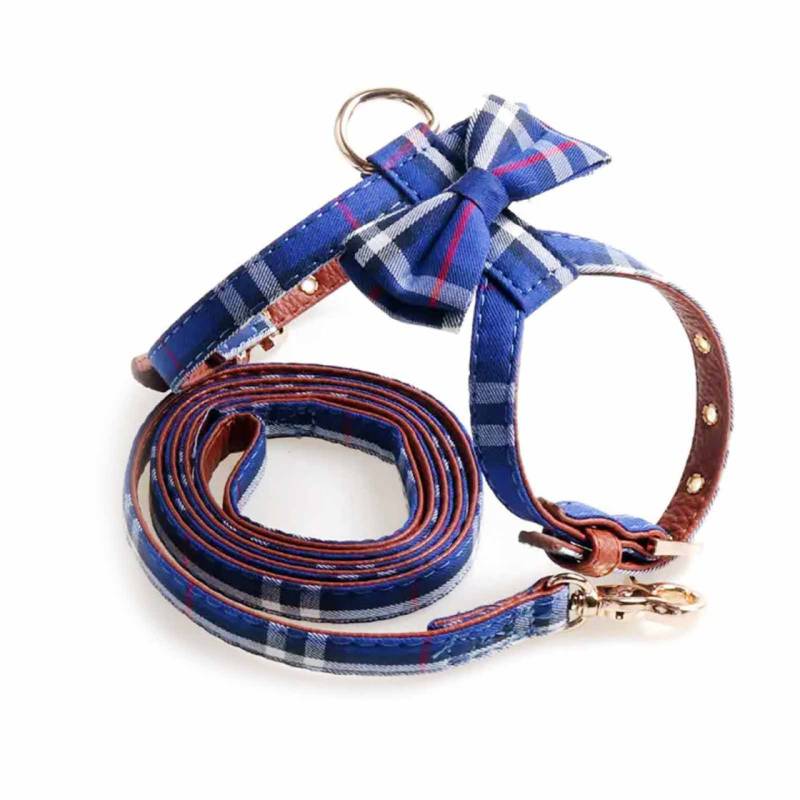 Geschirr f?r Hund und Katze mit Leine blau - L Geschirr f?r Hund und Katze mit Leine blau - L