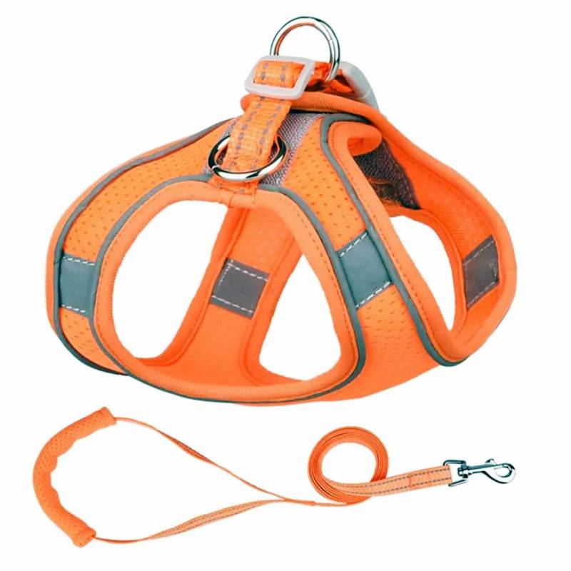 Geschirr f?r Hund und Katze mit Leine in orange