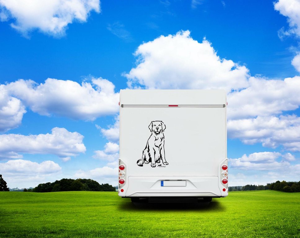 Golden Retriever Wohnmobil Aufkleber I Wandtattoo - H20cm / Weiß
