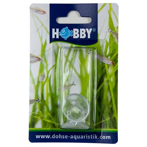 HOBBY Kautschuksauger für Thermometer - 2 Stück