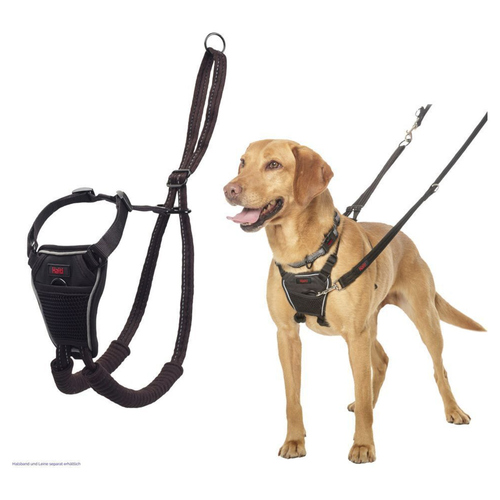 Halti Anti-Zug-Geschirr No Pull Harness schwarz, Größe: M