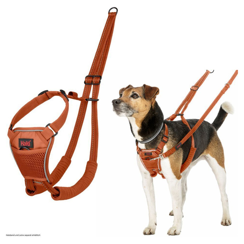 Halti Erziehungsgeschirr No Pull Harness Burnt Orange, Größe: M