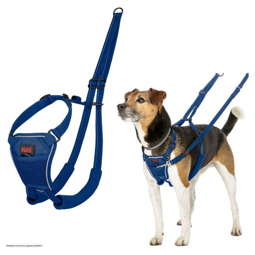 Halti Erziehungsgeschirr No Pull Harness Cobalt Blue, Größe: M