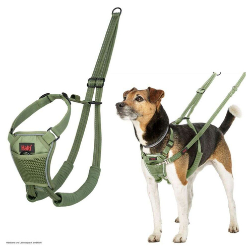 Halti Erziehungsgeschirr No Pull Harness Forest Green, Größe: M