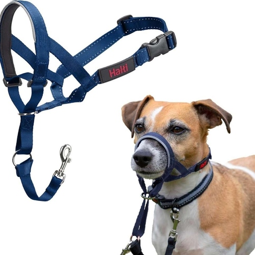 Halti Kopfgeschirr/Headcollar blau, Größe: 3 Halti Kopfgeschirr/Headcollar blau, Größe: 3