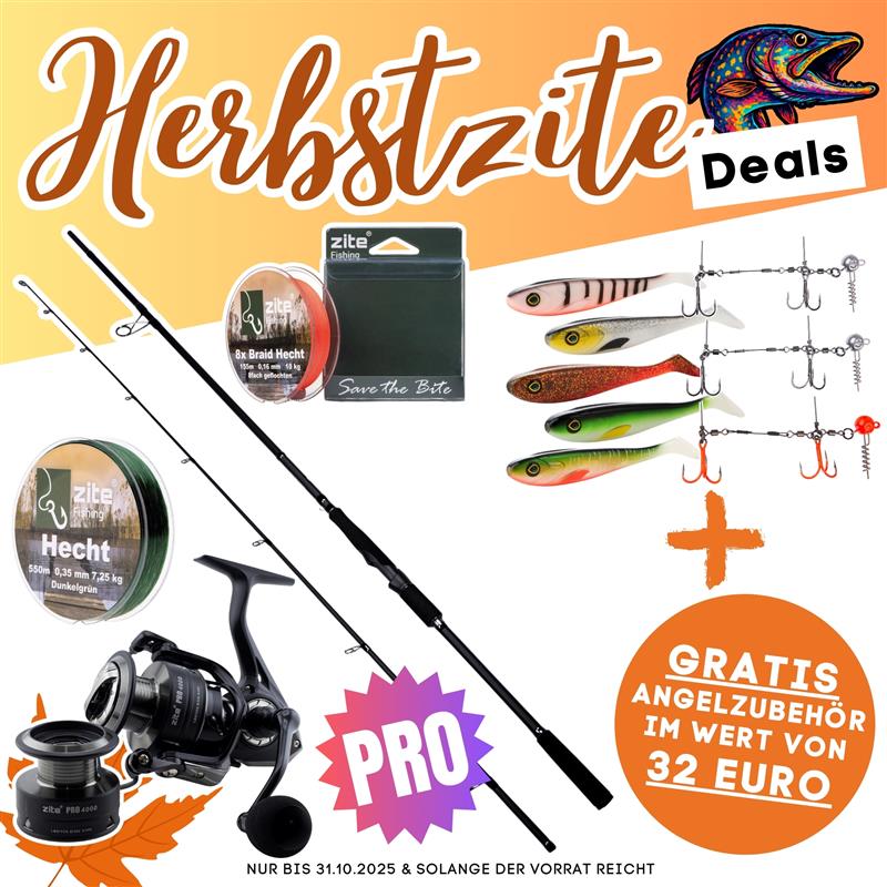 Hecht Pro Komplettset - Inzite Pro Stick Hecht, Spinnig Reel Pro 4000, Angelschnur & GRATIS Zubehör