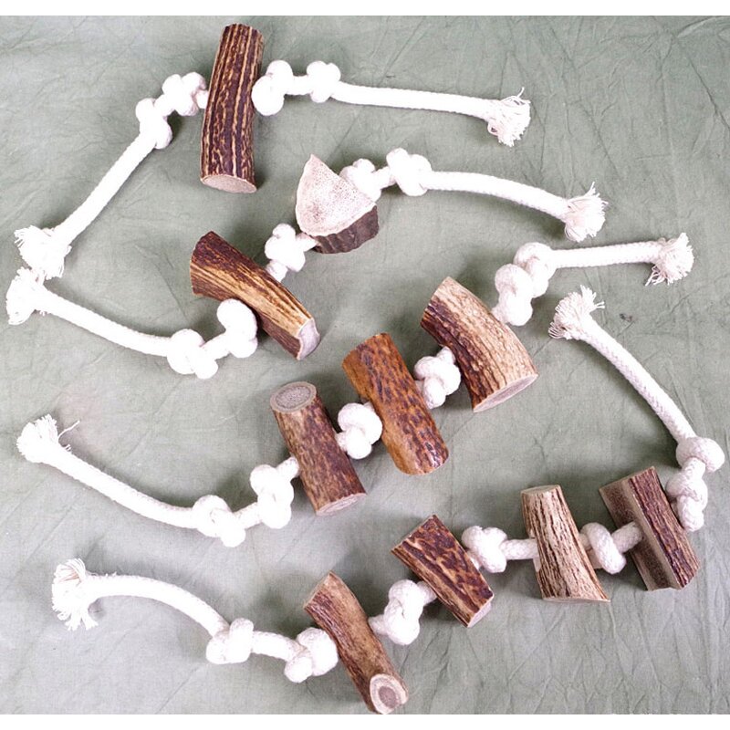 Hirschgeweih Stücke am Kauseil L (Kordel mit 3 Geweihstücken)