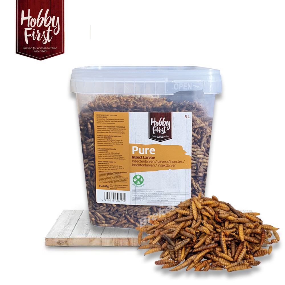 HobbyFirst - Insektenlarven - 5 Liter