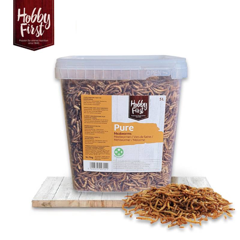 HobbyFirst - Mehlwürmer - 5 Liter HobbyFirst - Mehlwürmer - 5 Liter