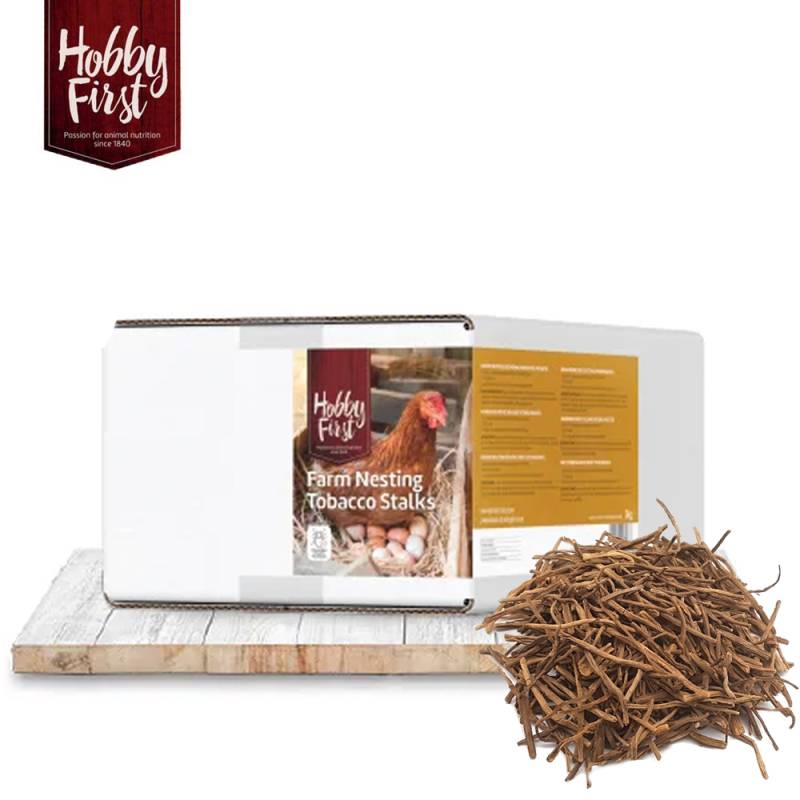 HobbyFirst - Tabakstiele 1,5 kg HobbyFirst - Tabakstiele 1,5 kg