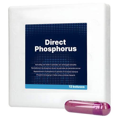Hofman Animal Care Eingabepaste Phosphor, Inhalt: 12 x 123 g