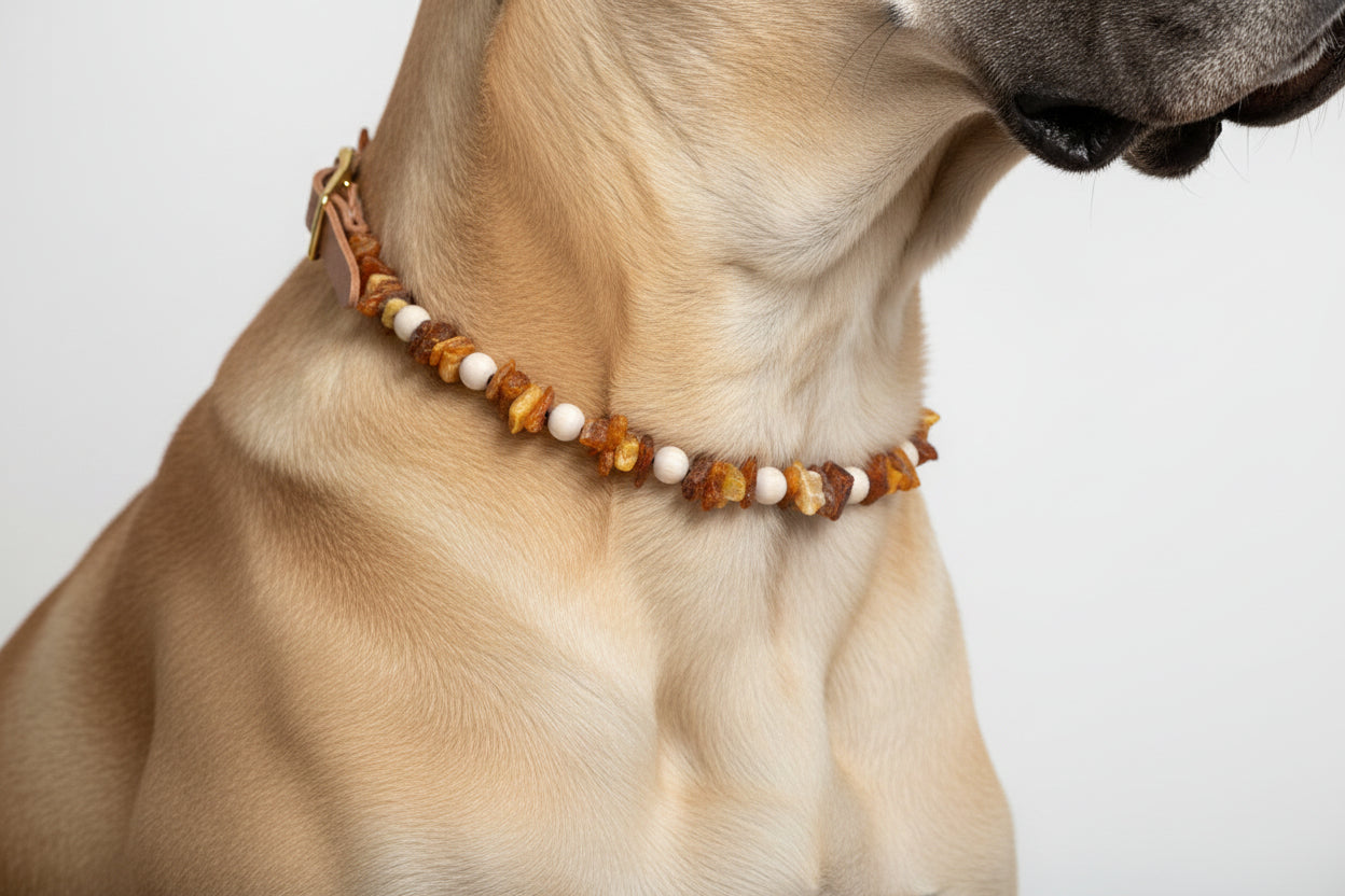 Hunde Bernsteinkette Woody-Flex - 50-55cm