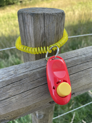 Hunde Clicker