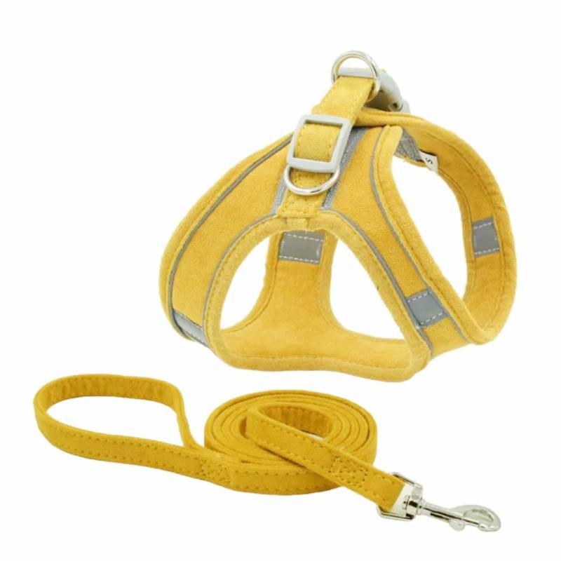 Hunde Geschirr Set mit Leine - XL in gelb