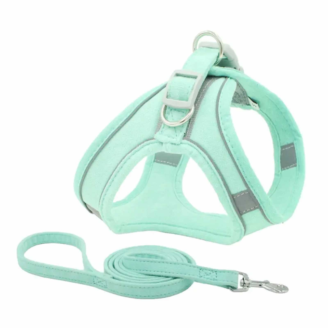 Hunde Geschirr Set mit Leine - XL in t?rkis