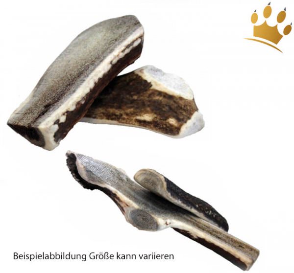 Hunde-Kauknochen aus Hirschgeweih Hunde-Kauknochen aus Hirschgeweih