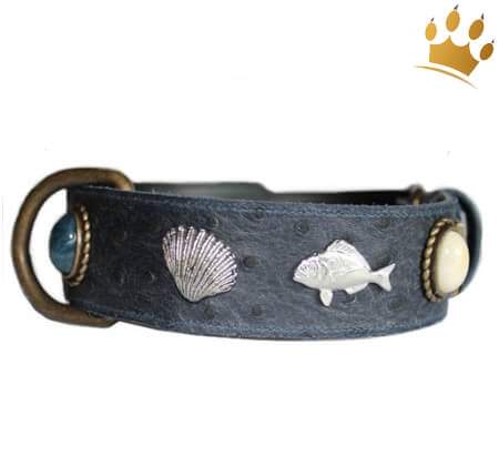 Hunde-Lederhalsband Poseidon