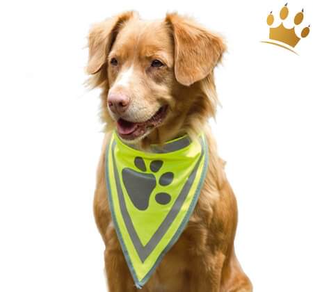 Hunde-Sicherheitshalstuch
