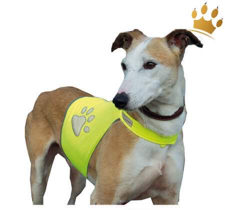 Hunde-Sicherheitsweste