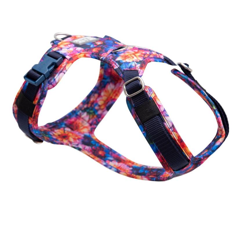 Hundegeschirr Dahlia M/L von EMMY&PEPE